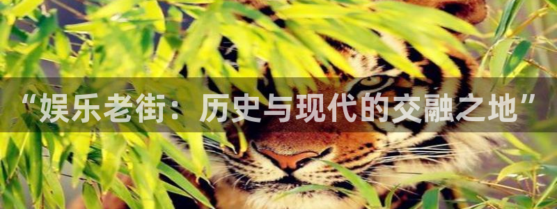 焦点娱乐官网：“娱乐老街：历史与现代的交融之地”