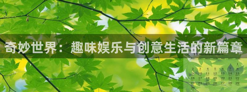 焦点娱乐登录地址：奇妙世界：趣味娱乐与创意生活的新篇章