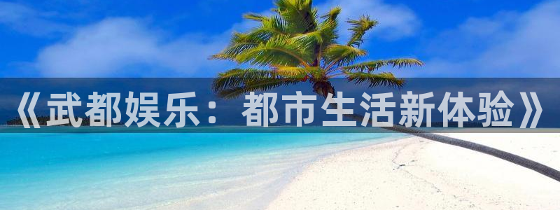 小焦点娱乐：《武都娱乐：都市生活新体验》