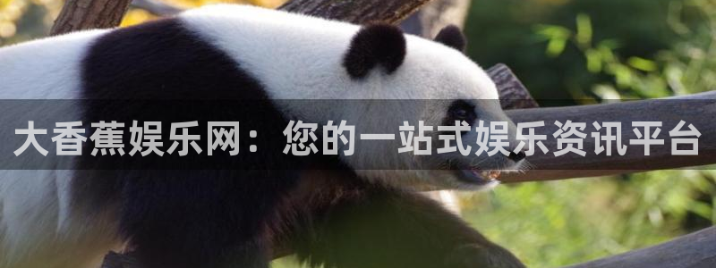 焦点娱乐注册：大香蕉娱乐网：您的一站式娱乐资讯平台