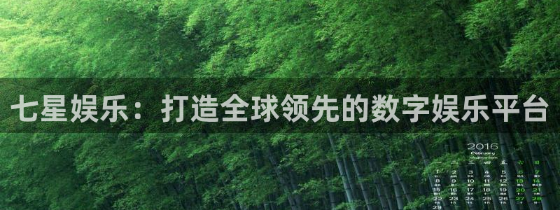 焦点娱乐登录：七星娱乐：打造全球领先的数字娱乐平台