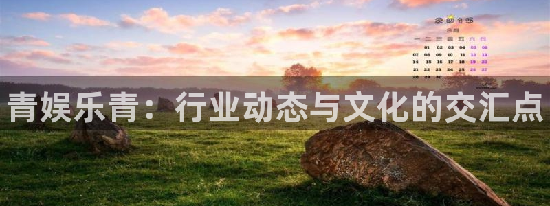 焦点娱乐：青娱乐青：行业动态与文化的交汇点