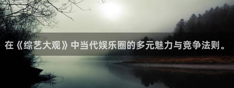 焦点娱乐网：在《综艺大观》中当代娱乐圈的多元魅力与竞争法则。